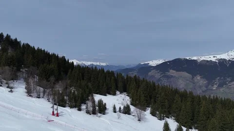 Aerial nature view of green pine trees forest on snowy mountain in French alps. Stock Footage 334238925