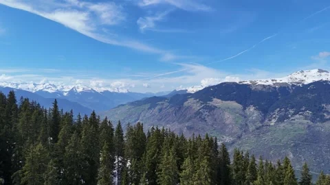 Aerial nature view of green pine trees forest on snowy mountain in French alps. Stock Footage 334314919