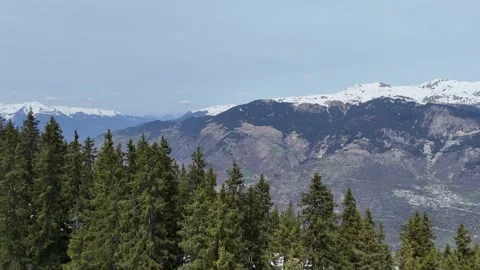 Aerial nature view of green pine trees forest on snowy mountain in French alps. Stock Footage 334320376