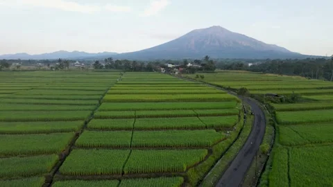Aerial Ngenep Stock Footage 273838142