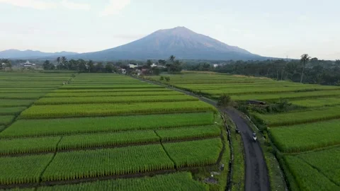 Aerial Ngenep Video stock 273838143