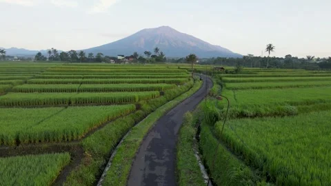 Aerial Ngenep Stock Footage 273838149