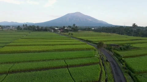 Aerial Ngenep Stock Footage 273838153
