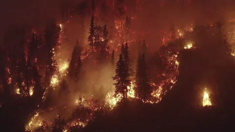 AERIAL: Nighttime Forest fire, wildfire firestorm in spruce woods, flat Vidéo 283326482