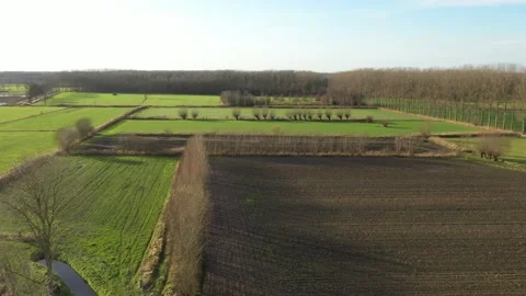 An aerial not moving view over an meadow with green grass and brown fields and Stock Footage 142749348