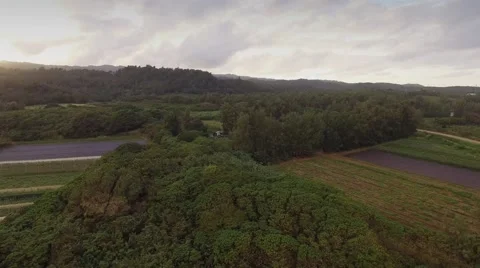 Aerial Oahu Fields and Farms Stock Footage 59132408