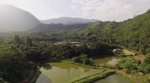 Aerial Oahu Fields and Farms Stock Footage 59141807