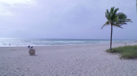 Aerial of the Ocean from the Beach Stock Footage 61855792