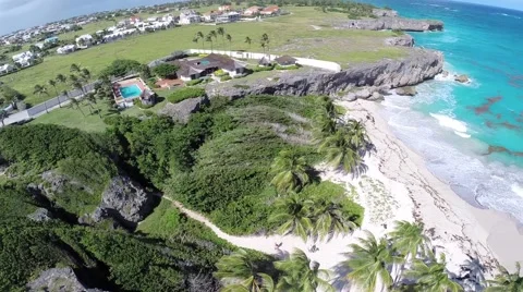 Aerial Of Ocean, Beach, Waves, Coconut Trees &amp; Cliff In Barbados Stock Footage 45165617