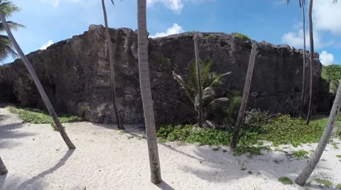 Aerial Of Ocean, Beach, Waves, Coconut Trees &amp; Cliff In Barbados Stock Footage 45311961