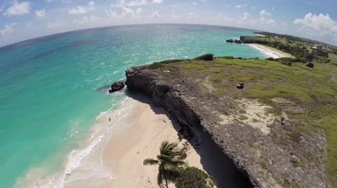 Aerial Of Ocean, Beach, Waves, Coconut Trees &amp; Cliff In Barbados Stock Footage 45312046