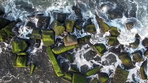 Aerial Ocean Waves Meet Mossy Shoreline Stock Footage 269493576