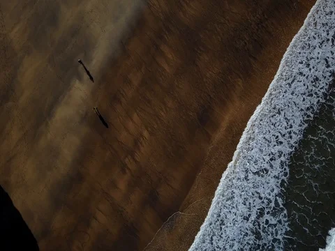 Aerial ocean waves view beach Stock Footage 74763189