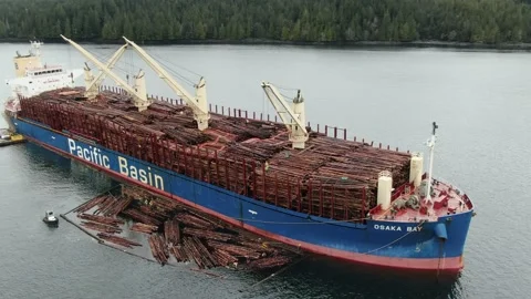 Aerial: Orbit around a bulk freighter with a deck load of log bundles for export Stock Footage 149900189