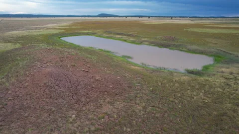 Aerial orbit of a cattle tank or pond on a vast prairie Stock Footage 201614823