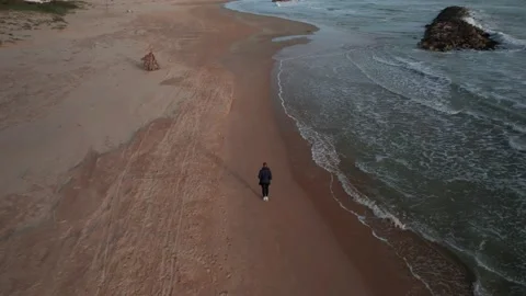 Aerial orbit drone view young walking alone girl on sea beach shore sunset  Stock Footage 184449372