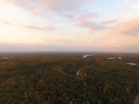 Aerial orbit left over fall foliage during sunset Stock Footage 76001514