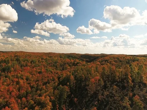 Aerial Orbit left over fall foliage Stock Footage 76006504