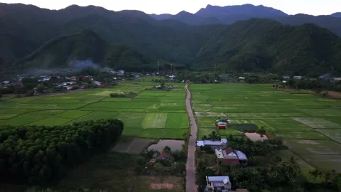 Aerial Orbit Over Rice Fields and Mountain Valley in Vietnam Stock Footage 336610438