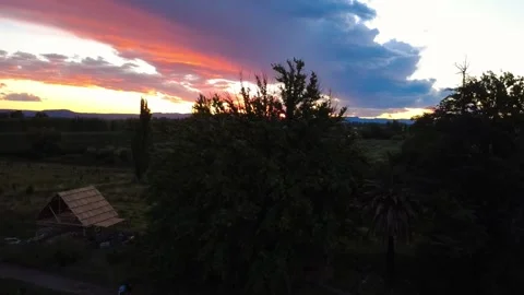 Aerial Orbit of Tree at Sunset in Mendoza Argentina - Drone Shot Stock Footage 330889678