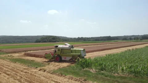 Aerial Orbit View Of A Harvester Beginning The Harvest Of A Wheat Field Vídeos de archivo 137355183