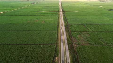 Aerial orbit view of multi lane highway with driving cars between green Stock Footage 258280961