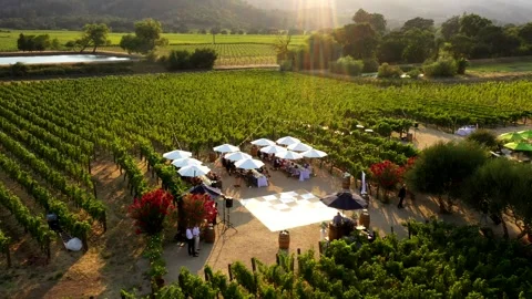 Aerial Orbit of Vineyard Wedding Setup With Guests and Dance Area Stock-Footage 311563343
