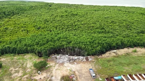 Aerial Orbit of Waste Dump Adjacent to Dense Mangrove Forest Stock Footage 325700177