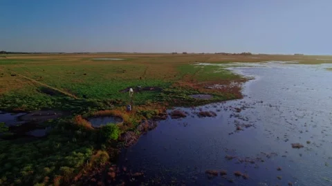Aerial Orbit of Windmill and Cattle Herd in Flooded Pasture at Sunset Stock Footage 334345990