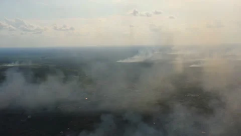 Aerial Orbiting Peat Fires Across the Forest, Indonesia Video stock 142509771
