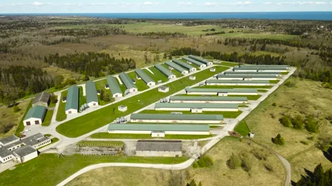 Aerial Orbiting View of an Industrial Poultry Chicken Farm in a Rural Landscape Stock Footage 335130397