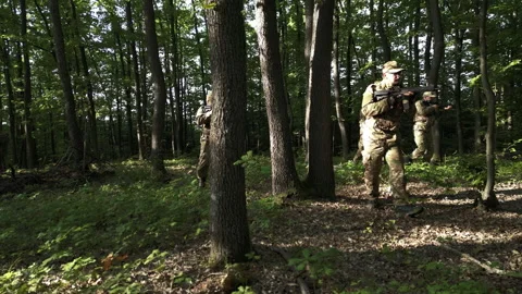 Aerial Orbiting View of Military Squad Searching for Enemies in the Forest Stock Footage 257538285