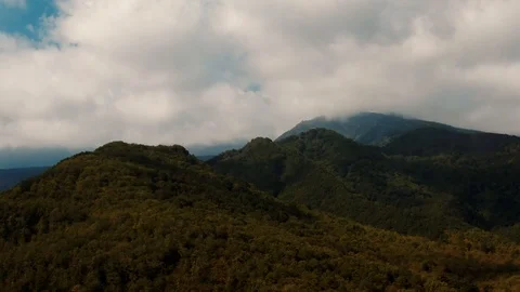 Aerial orbiting view of mount Etna with woods in autumn Stock Footage 119206273