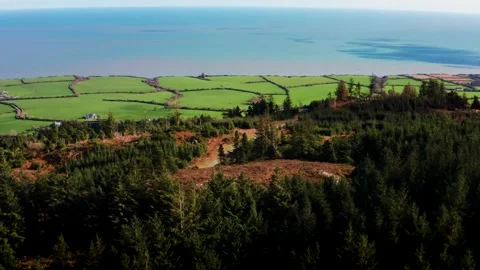 Aerial Orbiting View of Tara Hill Surrounded by Green Fields, Forest and Sea in Vídeos de archivo 333938748