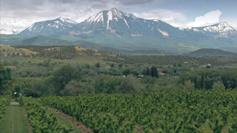 Aerial: Orchard and mountain range. Paonia,  Colorado, USA Vidéo 131643486
