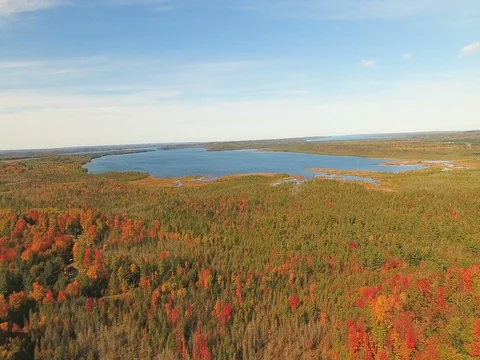 Aerial over autumn forest fall foliage surrounding lake Stock Footage 76007579
