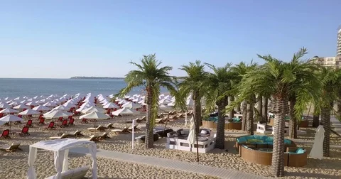 Aerial over the Beach Video stock 77981571