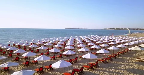 Aerial over the Beach Video stock 77981572