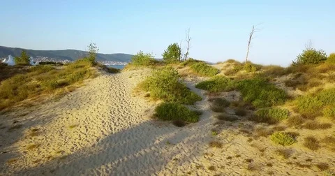 Aerial over the Beach Video stock 77981582