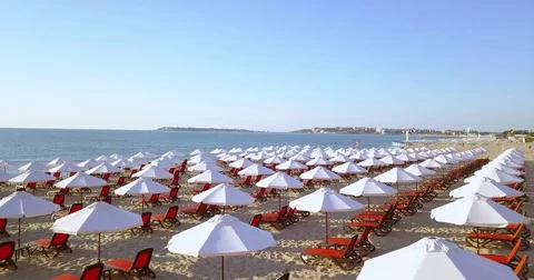 Aerial over the Beach Video stock 77981584