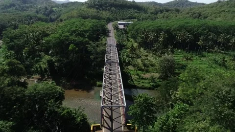 AERIAL OVER BRIDGE IN FOREST 스톡 동영상 138336469