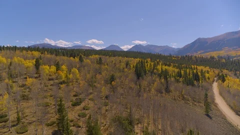 Aerial - Over changing fall trees and approaching mountain range Stock Footage 95319122