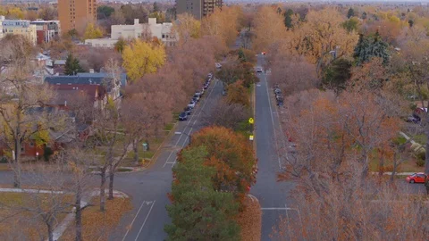 Aerial - Over changing trees in the Washington Park neighborhood of Denver Stock Footage 99011041