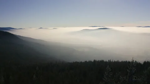 Aerial over the clouds showing forrest Video stock 146755992
