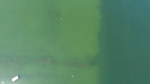 Aerial over the drop off at a beach Stock Footage 87721450