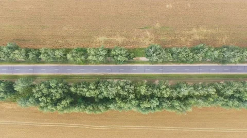Aerial Over Empty Rural Road Passing Through Golden Rural Wheat Fields Stock Footage 143661411