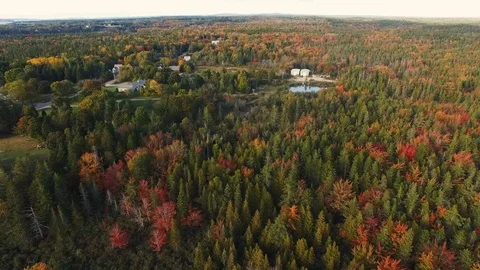 Aerial over fall forest  Stock Footage 96709733