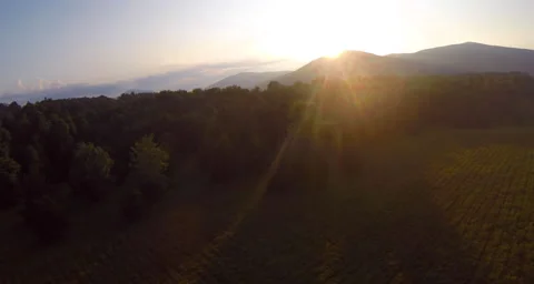Aerial over fields Stock-Footage 45328035