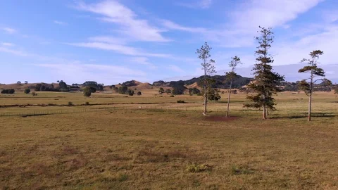 Aerial Over Fields Stock Footage 124633415