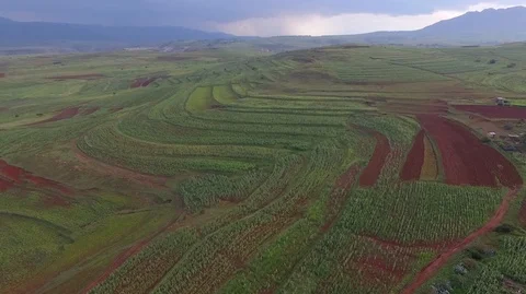 Aerial over fields  - Lesotho - 2.7K Stock Footage 90489552